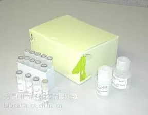 供应土壤基因组DNA提取试剂盒-磁珠法