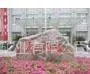 供应湖南岳阳园林景观石门牌石刻字石厂牌石标志石泰山石奇石风景石