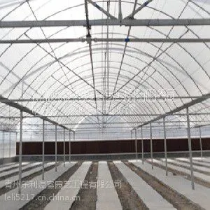 【山东温室建设】的温室大棚建设找青州乐利温室!