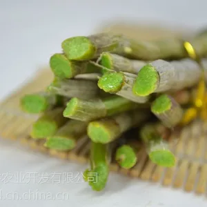 供应永耕铁皮石斛鲜条批发零售基地直销胶多渣少***
