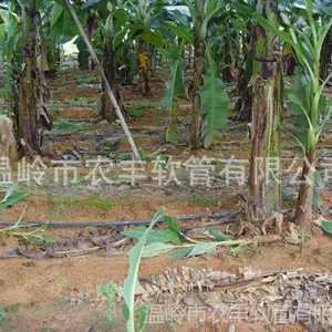 供应【厂家直销】N65型精品微喷带 滴灌带  农业滴灌带