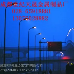 四川成都LED路灯杆生产加工定制厂家-成都世纪天晟