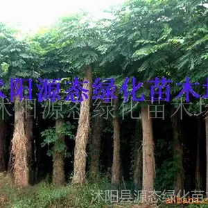 ��Ӧ��������������������˿��������������