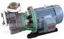 供应50FZB-20氟塑料自吸泵