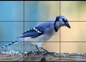 赛尔视讯高亮46寸超窄边液晶拼接屏