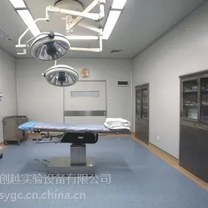 实验室净化工程 无尘室万级十万级 洁净室 净化手术室 四川创越实验设备