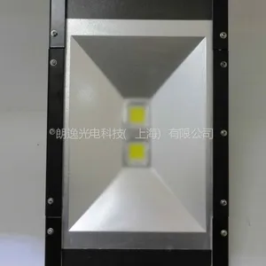 供应新款LED路灯60W【304不锈钢】螺丝和PG9防水接头