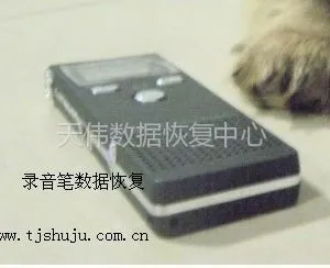 供应1T移动硬盘数据恢复- IDE硬盘数据恢复-天津数据恢复公司