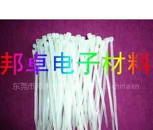 供应2.5*100mm各规格尼龙扎带 扎线带 高温扎带厂家供应