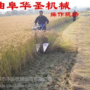 �����¿�ֱ���ո�� ����ֲ���ո��