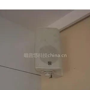供应专业会议室壁挂吊装音箱