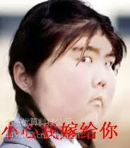 船舶管理信息系统(PMS)