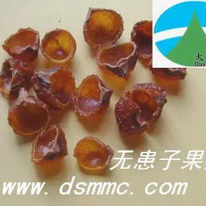 ��Ӧ�޻��ӹ���(��Ȼϴ����Ʒ��soapberry)