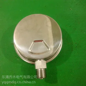 304����ѹ����/����ֳ���ѹ����/���ڱ�/YTN-100BFҺѹ��