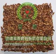 ��Ӧ��Ӧ������ѿ�� ��������ѿ�� ��ѿ���������� �������Ӽ�