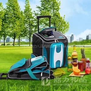 供应合肥车载家居两用冷热软体冰箱