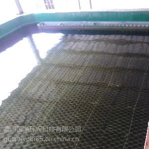 ��ƽ����������ѯ��***����ˮ���������ṩ