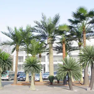 大型仿真海藻树定做室外绿化风景热带绿植公园广场装饰海枣树订制