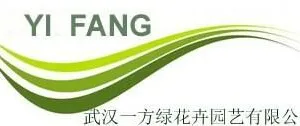 武汉市江岸区一方绿花卉园艺经营部