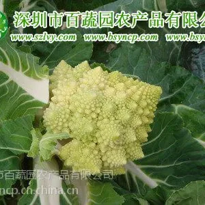 供应深圳农产品配送深圳冷冻食品配送深圳百蔬园蔬菜配送有限公司