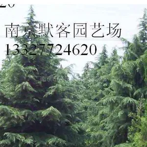 南京市浦口区默客园艺场