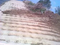 供应便宜的模袋混凝土护坡，就选信安水利