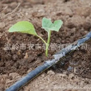 厂家供应内镶贴片式滴灌带 内镶式滴灌带价格 批发滴灌带0.2壁厚