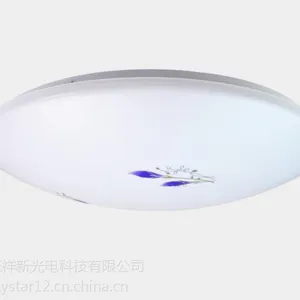 供应祥新光电 简约24W护眼LED吸顶灯