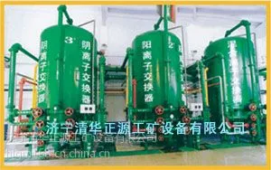 阴阳离子交换器