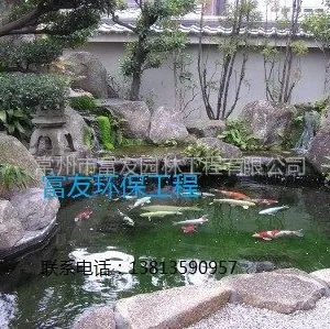 供应【太仓市户外锦鲤鱼池水净化、我们有办法】