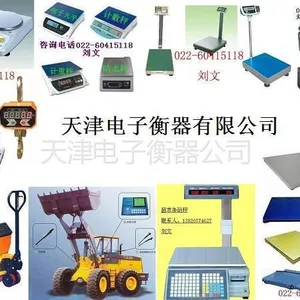 供应天津塘沽电子秤|天津东丽电子秤|天津大港电子秤|天津西青电子秤|天津津南电子秤