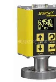 ��ӦIGM-401 Hornet������ռ�