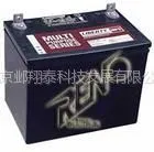 供应大力神蓄电池型号12V100AH