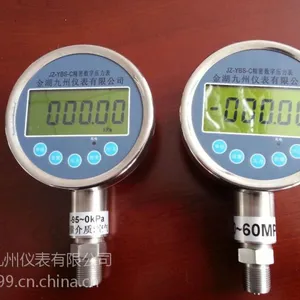 供应精密压力表YB-100 OMVGAR