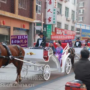 供应美观大方的欧式马车