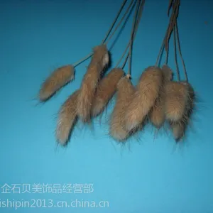 供应供应兔尾草/狗尾草/干草/兔子干草/***植物干草/干草市场 厂家