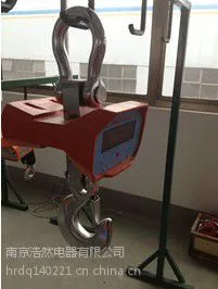 供应厂家热销防爆吊秤