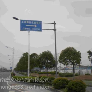 供应上海道路对旗审批浦东马路道旗发布（品牌道旗广告）