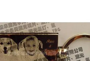 供应上海松江宠物铜标牌 刻字打标加工