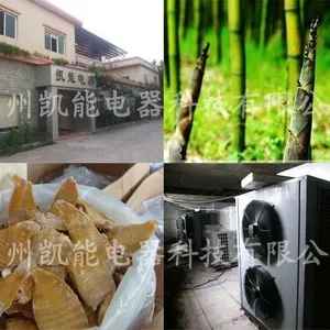 供应竹笋烘干机，行业专用笋干烘干设备