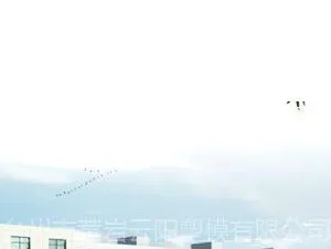��˾logo