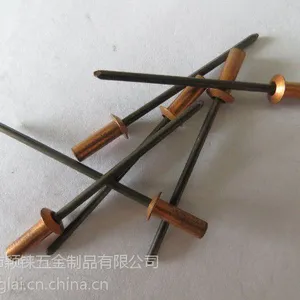 供应铜盲孔抽芯铆钉，铜盲孔防水铆钉，盲孔铜铆钉4*12