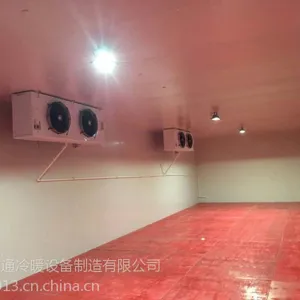萝卜保鲜冷库 温州萝卜冷库 环通冷库节能省电设计