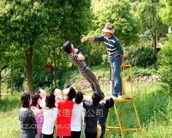 供应项目名称:信任背摔