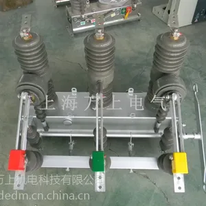 �Ϻ�����ZW32-12G/T630-20������ո��ɸ��뿪�� 10KV��·��·��