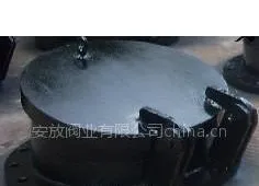供应铸铁潮门、拍门