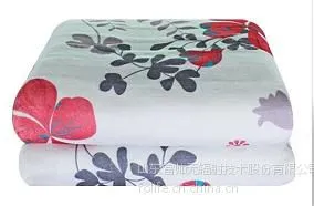 供应富帅***电热毯WD1-T1D 防潮去湿双人单控印花电褥子