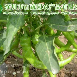 供应龙岗蔬菜配送平湖送菜公司农产品配送食堂承包
