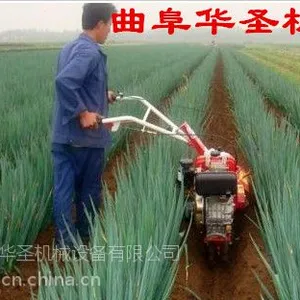 ������������ С���ַ������� �ַ�������������