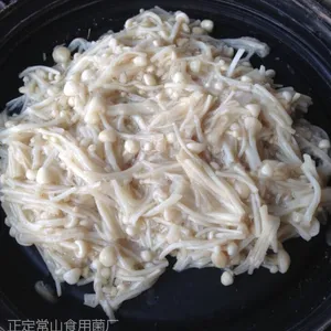 供应ZHD001盐渍金针菇，整条，切断，出口内销，常年供应。